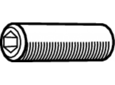 FS2024