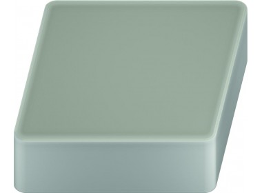 CNGN120408T01020 WWS20