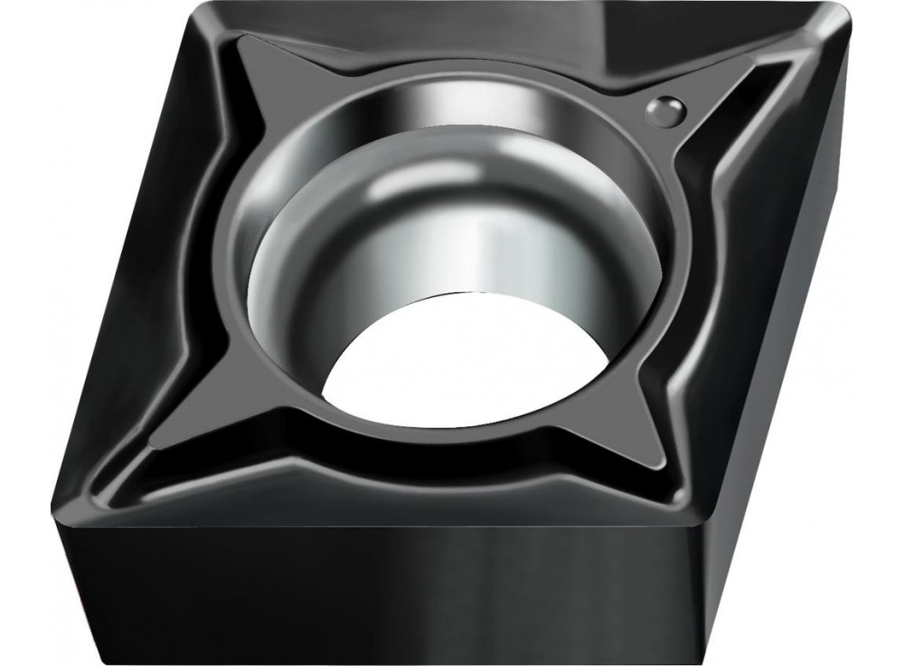 CCGT060204-FN2 WNN10