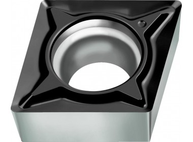 CCGT09T304-FM2 WSM01