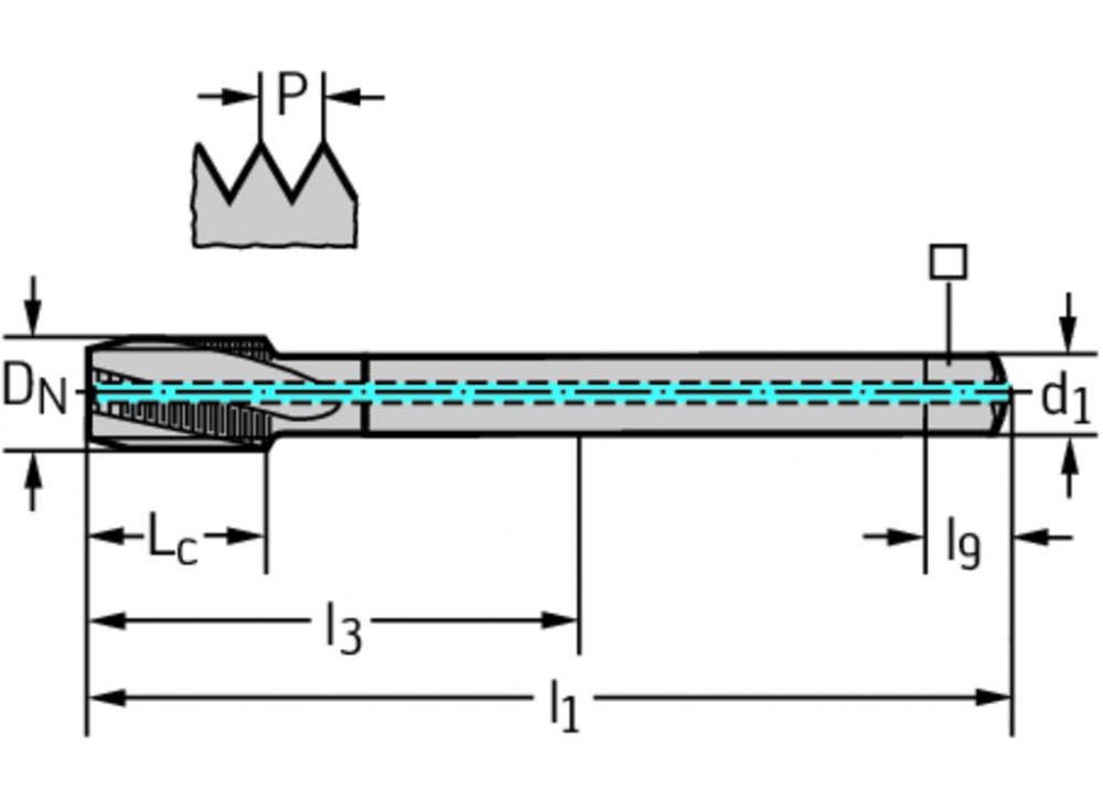 8146056-M12X1