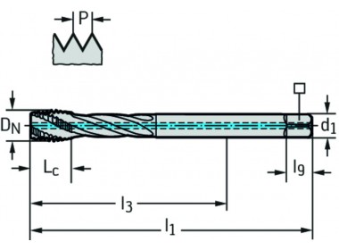 TC121-M12-L1-WW60RG
