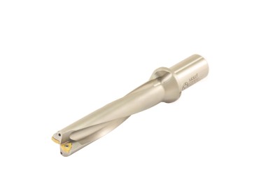 ATUM 31XD5 WCM. 06T308