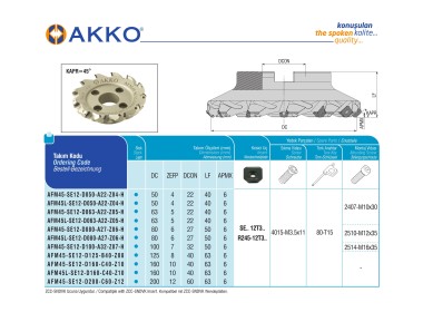 AFM45-SE12-D160-C40-Z10
